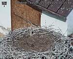 Capi_Dubne_20260805_101504.jpg