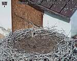 Capi_Dubne_20260805_102002.jpg