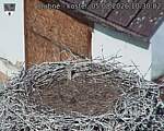 Capi_Dubne_20260805_103002.jpg