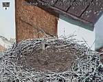 Capi_Dubne_20260805_103502.jpg
