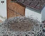 Capi_Dubne_20260805_104504.jpg