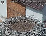 Capi_Dubne_20260805_114502.jpg