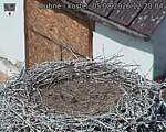 Capi_Dubne_20260805_122004.jpg