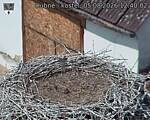 Capi_Dubne_20260805_124002.jpg