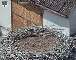 Capi_Dubne_20260805_140502.jpg