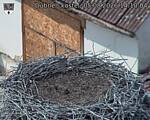 Capi_Dubne_20260805_141004.jpg
