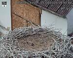 Capi_Dubne_20260805_144004.jpg