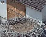 Capi_Dubne_20260805_145502.jpg