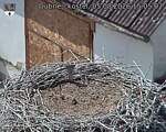 Capi_Dubne_20260805_150502.jpg