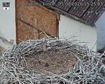 Capi_Dubne_20260805_152503.jpg