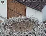 Capi_Dubne_20260805_154003.jpg