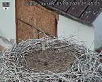 Capi_Dubne_20260805_154503.jpg