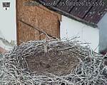 Capi_Dubne_20260805_155502.jpg