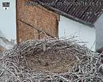 Capi_Dubne_20260805_162003.jpg