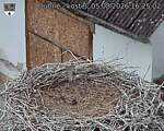 Capi_Dubne_20260805_162502.jpg