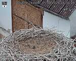 Capi_Dubne_20260805_163004.jpg