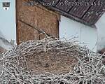 Capi_Dubne_20260805_164502.jpg