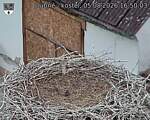 Capi_Dubne_20260805_165003.jpg