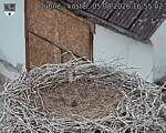 Capi_Dubne_20260805_165502.jpg