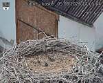 Capi_Dubne_20260805_170504.jpg