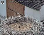 Capi_Dubne_20260805_171004.jpg