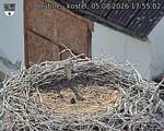 Capi_Dubne_20260805_175502.jpg