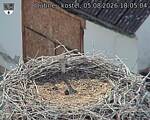 Capi_Dubne_20260805_180504.jpg