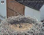 Capi_Dubne_20260805_181004.jpg