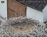 Capi_Dubne_20260805_181504.jpg