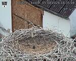 Capi_Dubne_20260805_183504.jpg