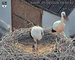 Capi_Dubne_20260805_190002.jpg