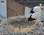 Capi_Dubne_20260805_190504.jpg