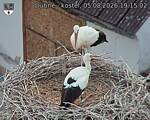 Capi_Dubne_20260805_191502.jpg