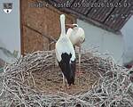 Capi_Dubne_20260805_192503.jpg