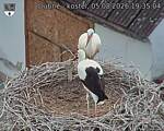 Capi_Dubne_20260805_193504.jpg