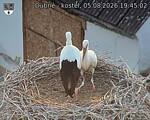 Capi_Dubne_20260805_194502.jpg