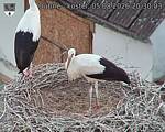 Capi_Dubne_20260805_203003.jpg