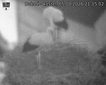 Capi_Dubne_20260805_211502.jpg