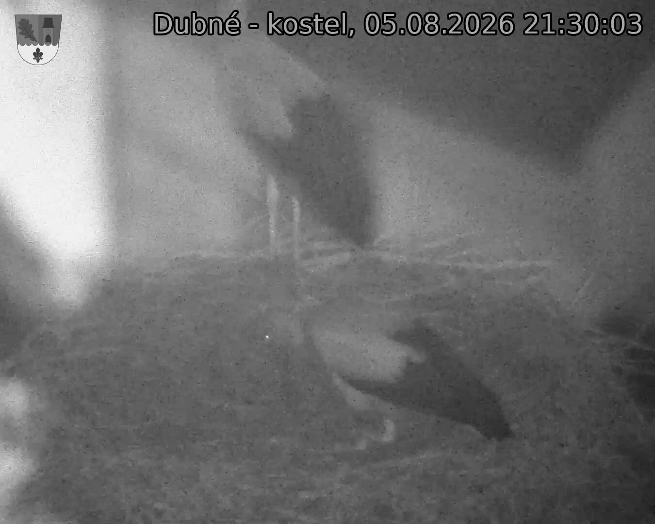 Capi_Dubne_20260805_213003.jpg (1350&nbsp;x&nbsp;1080)