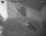 Capi_Dubne_20260805_213003.jpg