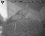 Capi_Dubne_20260805_222502.jpg