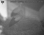 Capi_Dubne_20260805_223502.jpg