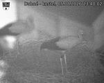 Capi_Dubne_20260805_234002.jpg