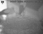 Capi_Dubne_20260805_234502.jpg