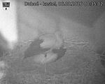 Capi_Dubne_20260806_003502.jpg