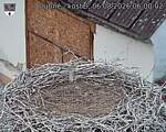 Capi_Dubne_20260806_060002.jpg