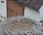Capi_Dubne_20260806_061004.jpg
