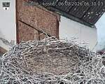 Capi_Dubne_20260806_063003.jpg