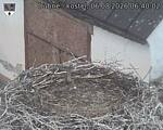 Capi_Dubne_20260806_064002.jpg