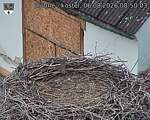 Capi_Dubne_20260806_085003.jpg